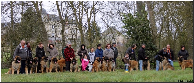 de la Conté de la Battrie - La Promenade du Club à Nueil sur Layon