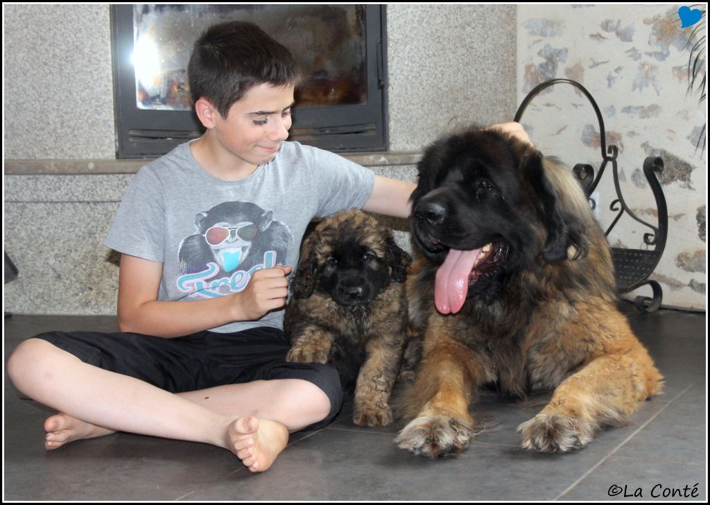 de la Conté de la Battrie - Finallement, Mr Bleu cherche sa famille